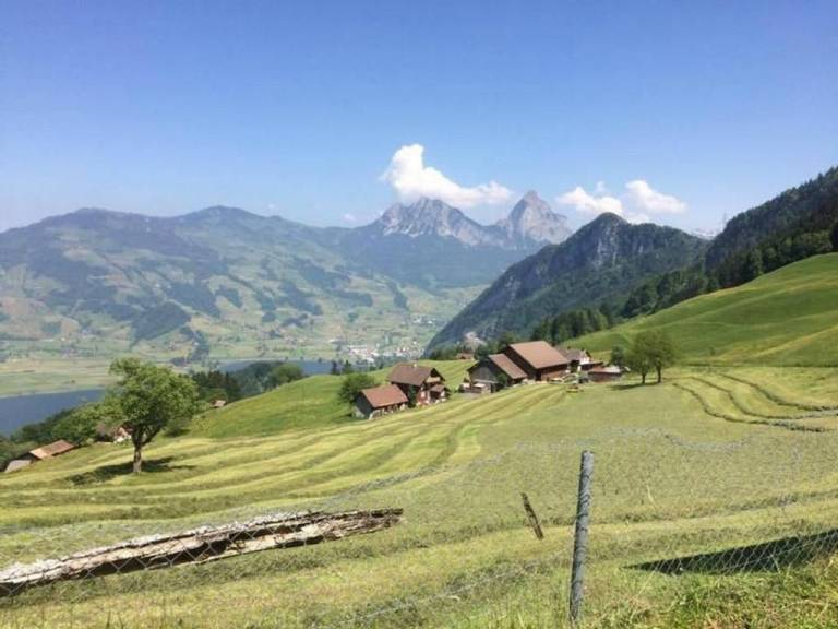 foto2