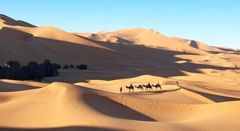 Merzouga activites in Merzouga