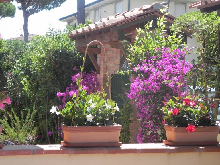 Pension  Lido di Camaiore