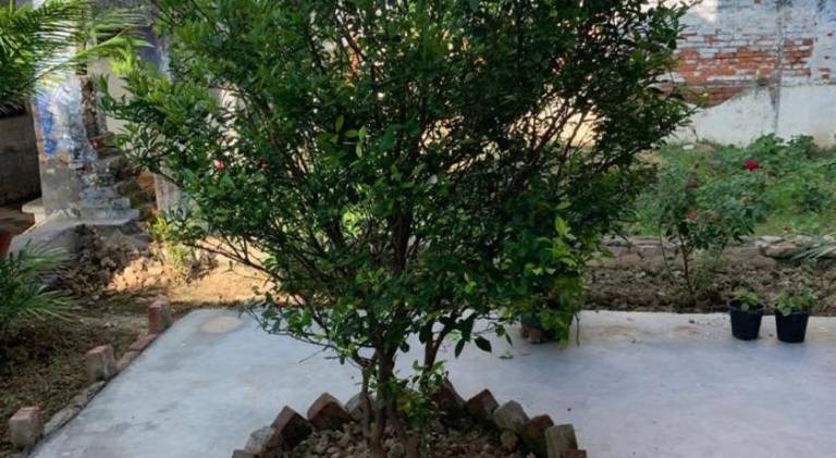 foto29