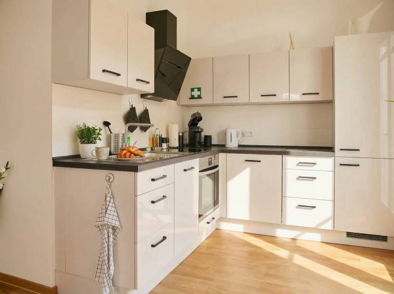 Apartment SCHILLER I - Erfurt Zentrum — photo 4