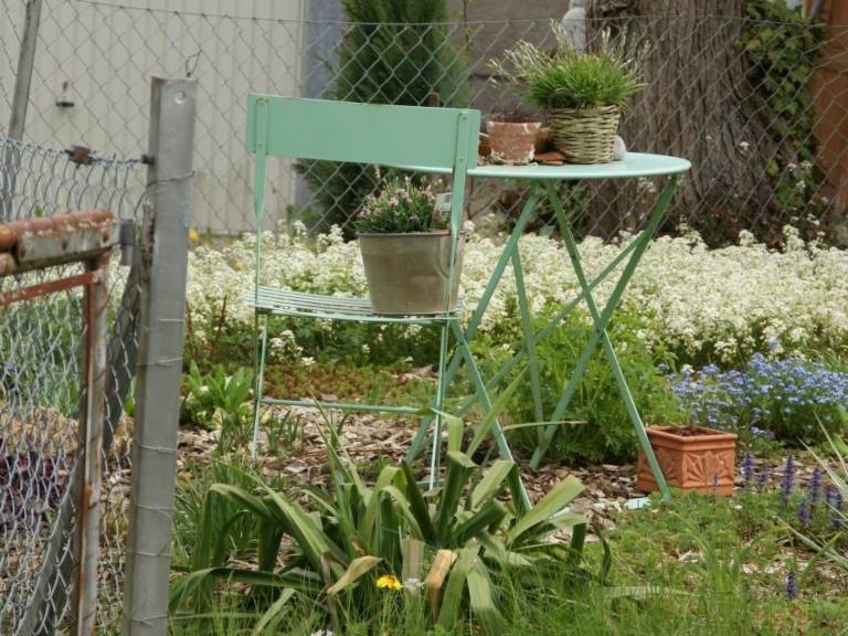 foto33