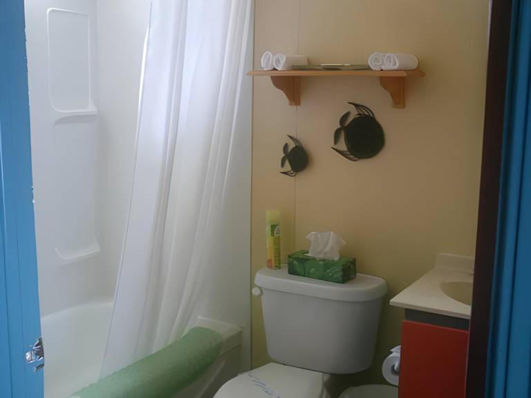 foto12