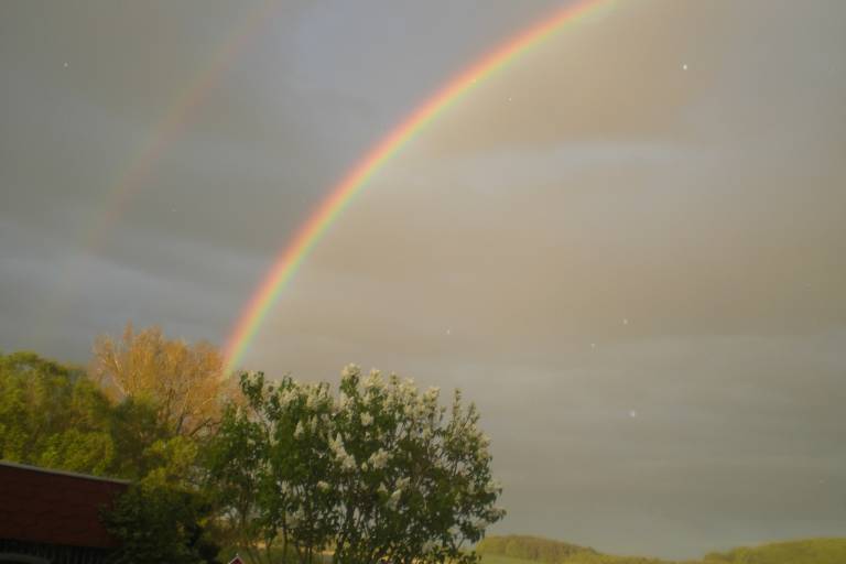 foto19