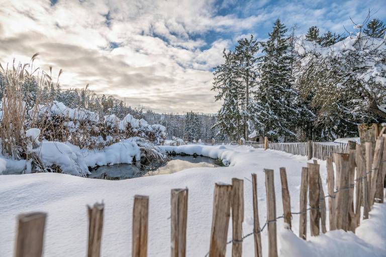 Ferienwohnung Breitenberg