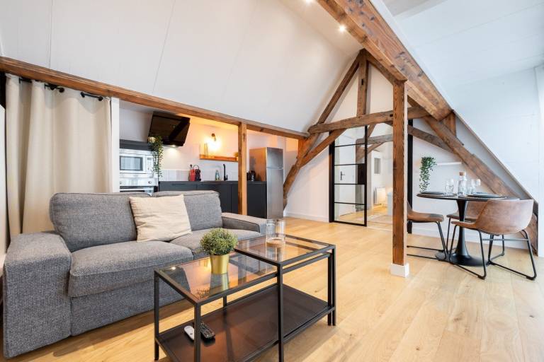 Appartement  Lille