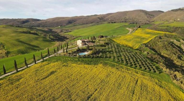 Serviced apartment with garden, pool & patio | Dogs allowed in Sarteano