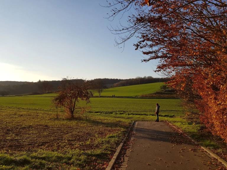 Apartment Kreuzwertheim
