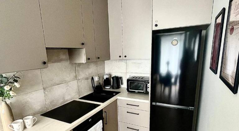 Apartment with 1 room for 4 persons — photo 5