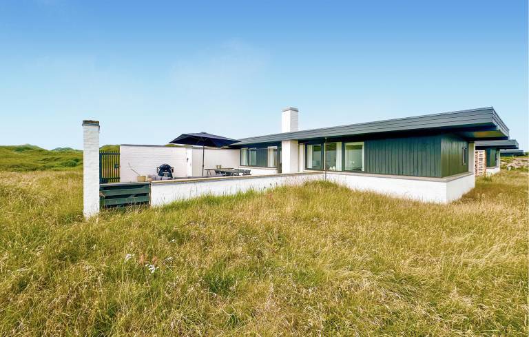 Ferienhaus mit Hund inPandrup, Dänische Nordseeküste  f&uuml;r max. 6 Personen