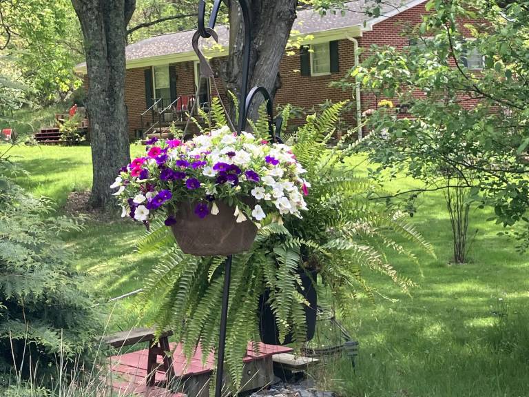 Bed and breakfast  Marshall