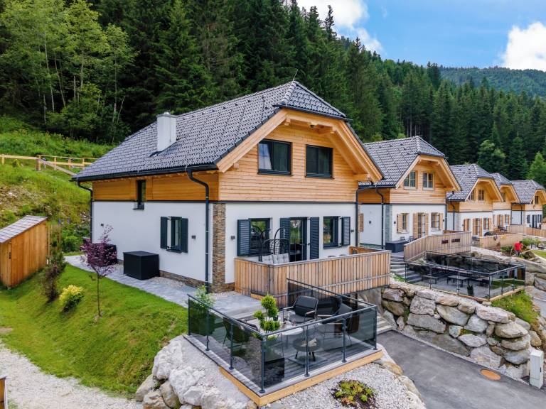 Chalet  Planneralm