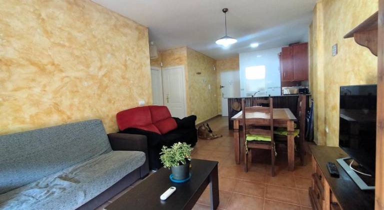 Apartment with pool — photo 5
