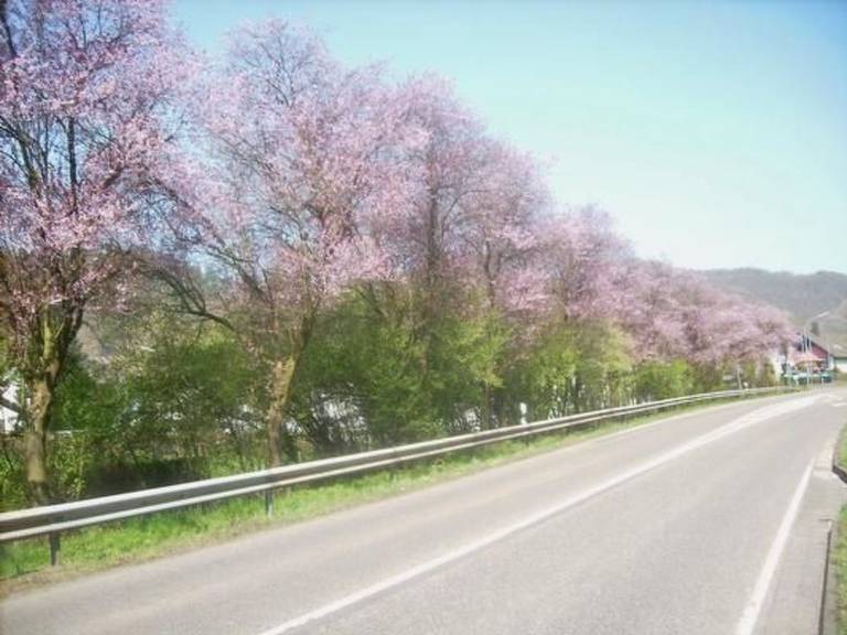 foto19