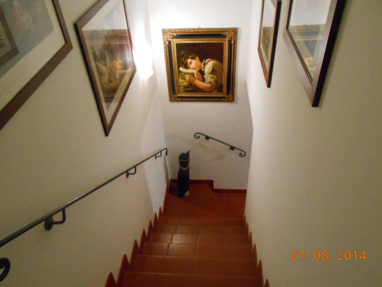 foto1