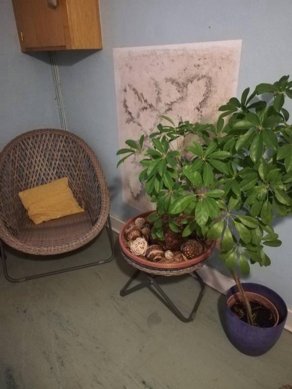 foto14