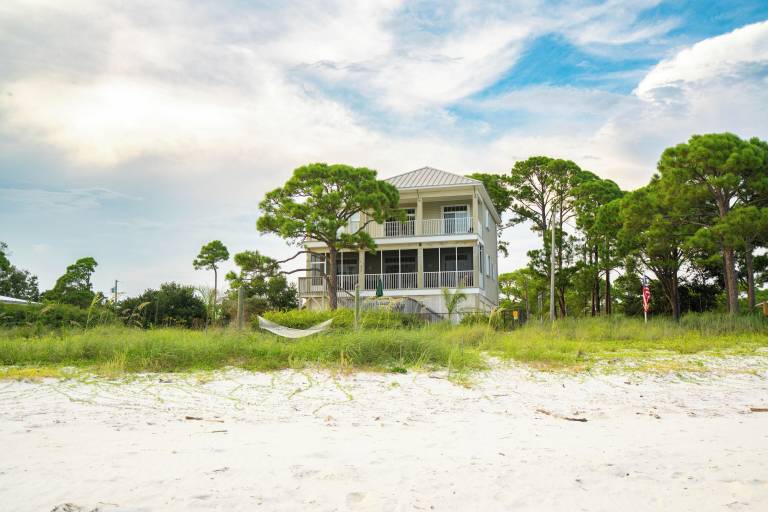 House Alligator Point