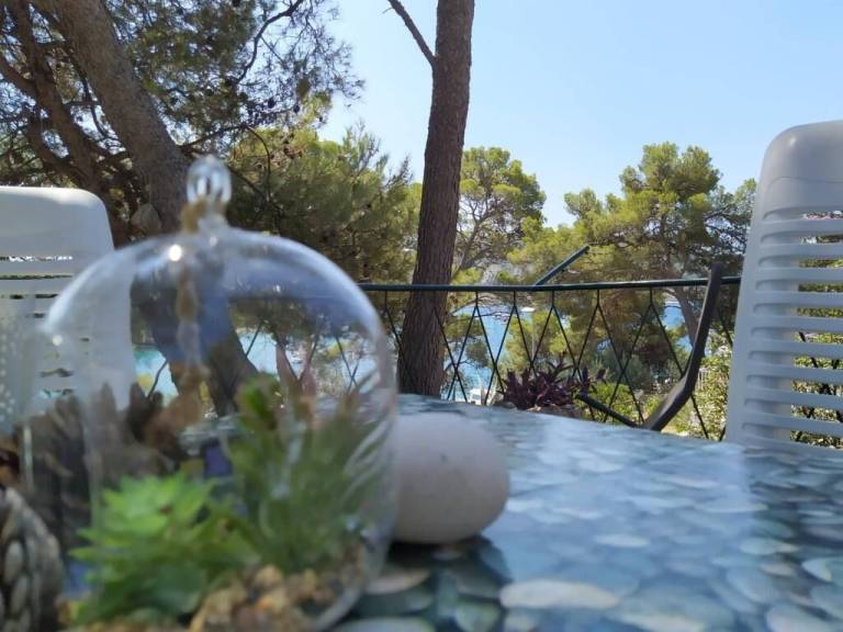 House Vlasta — photo 2