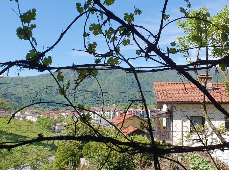 Appartement Tolmin