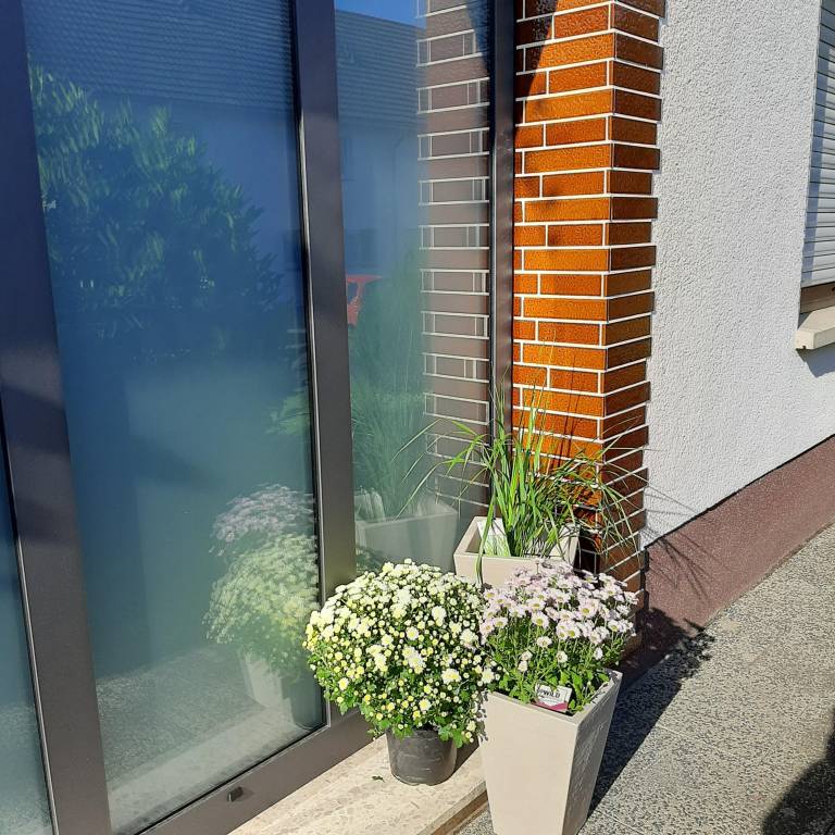 foto9