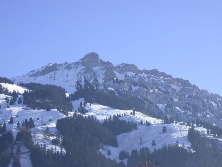 foto19