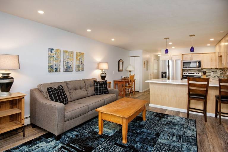 Condo Aspen