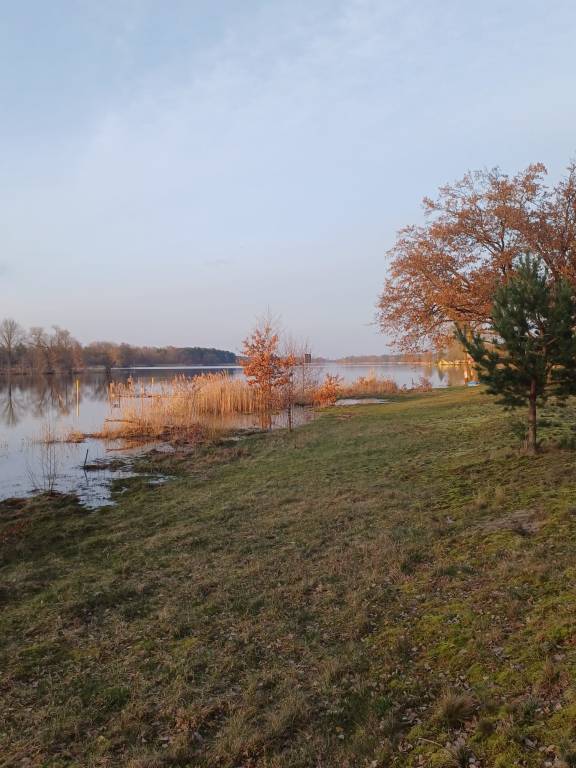 foto17