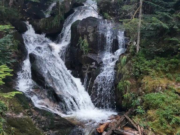 foto24