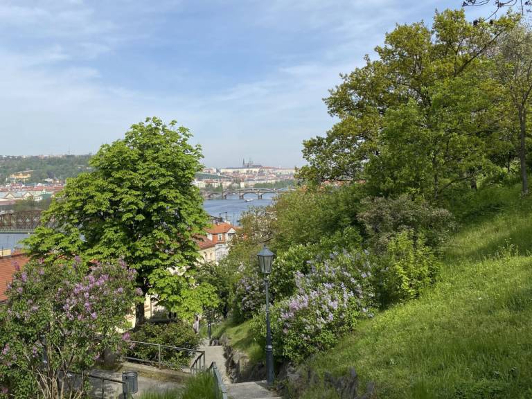 foto36