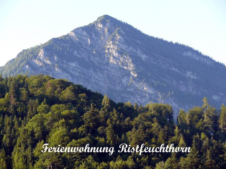 Ferienwohnung Schneizlreuth