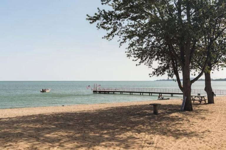 Cabin Woodland Beach