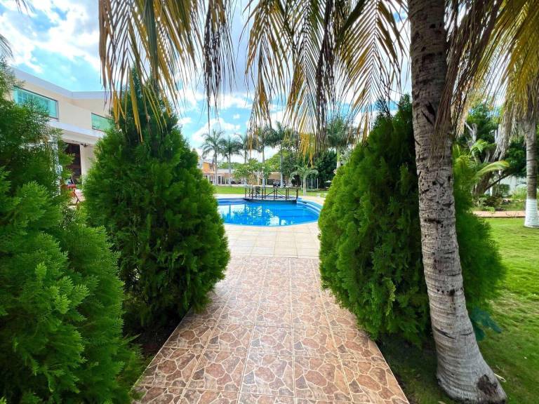 foto6