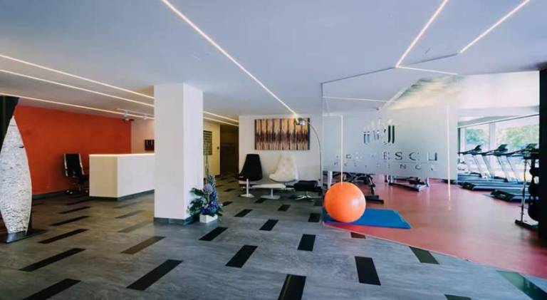 Vernescu 4 Luxury Living - Terrace Central Chic — photo 4