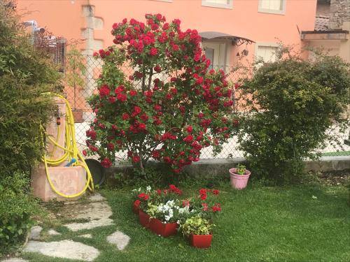 foto7