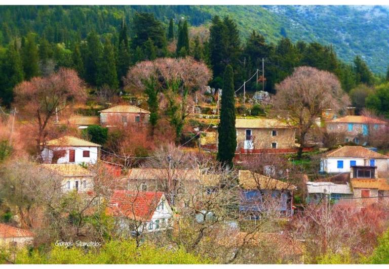 foto41