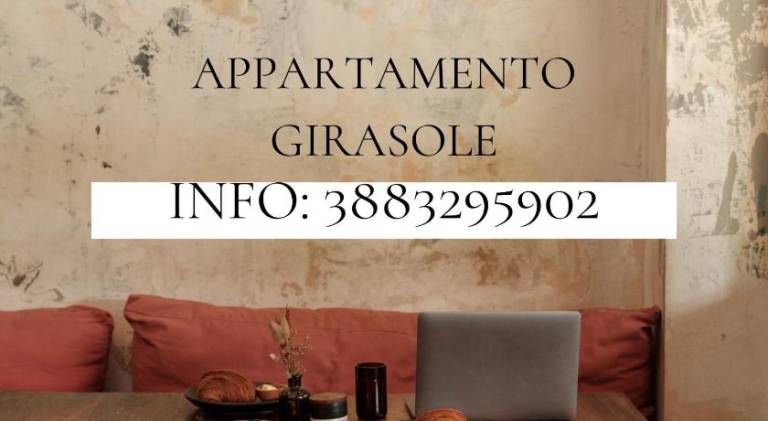 Pleasant holiday apartment | Dogs allowed in Vicenza