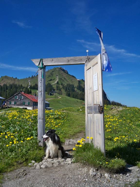 foto15