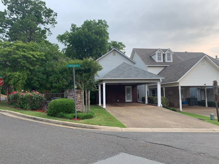 House  Lake Hamilton