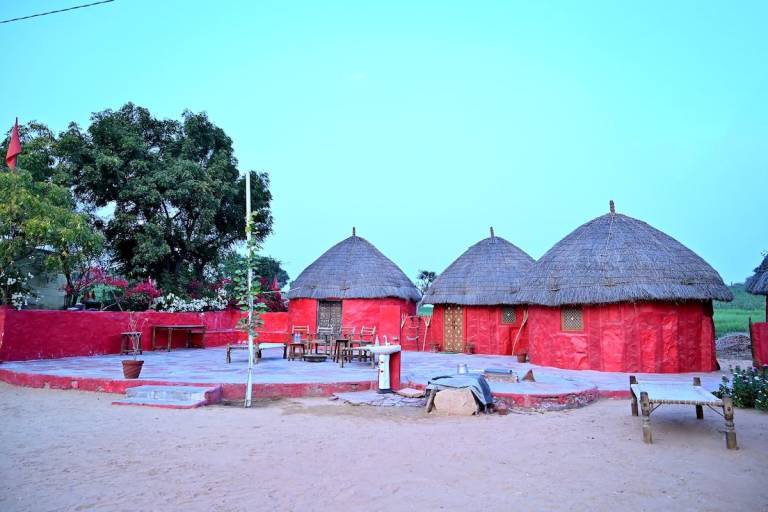 Pleasant villa with garden & grill | Pets are welcome in Jodhpur