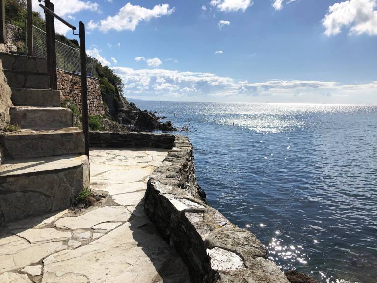 Cottage Mevagissey