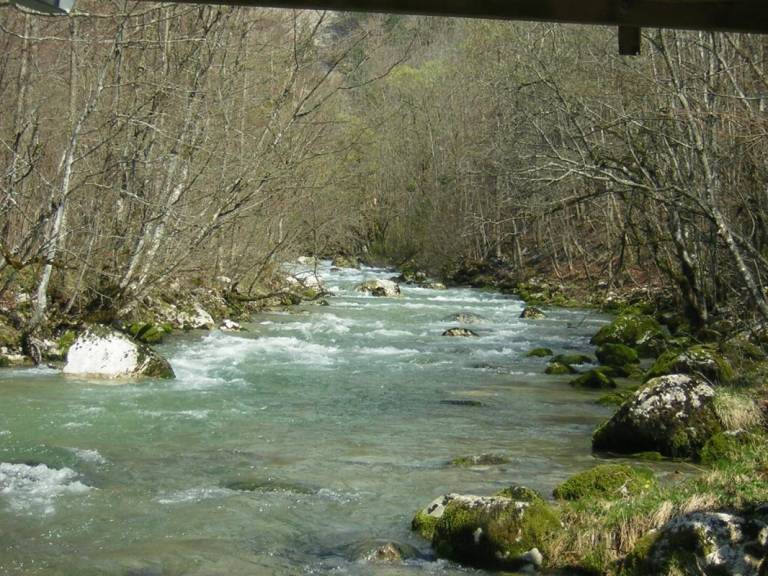 foto16