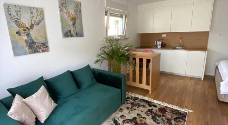 Apartment Bandaron in Kobarid