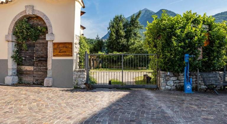Pleasant holiday apartment | Dogs allowed in Tenno