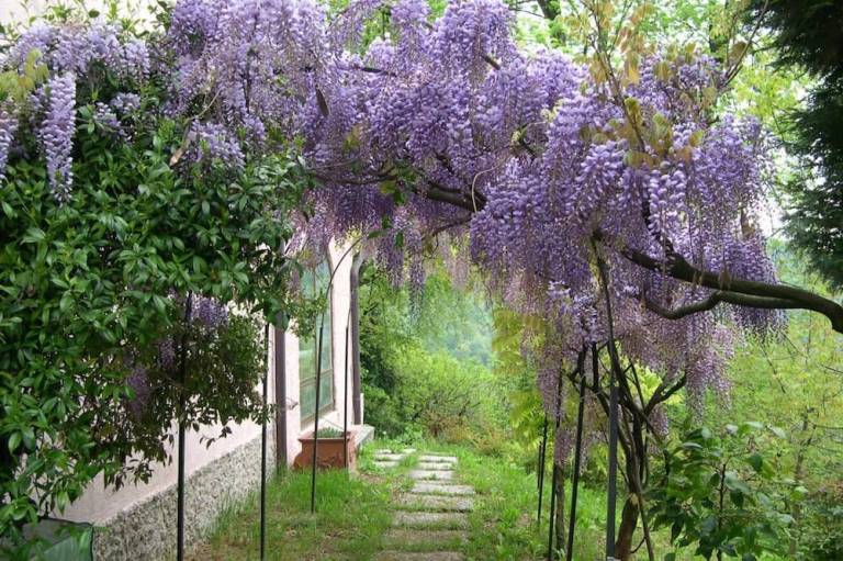 foto11