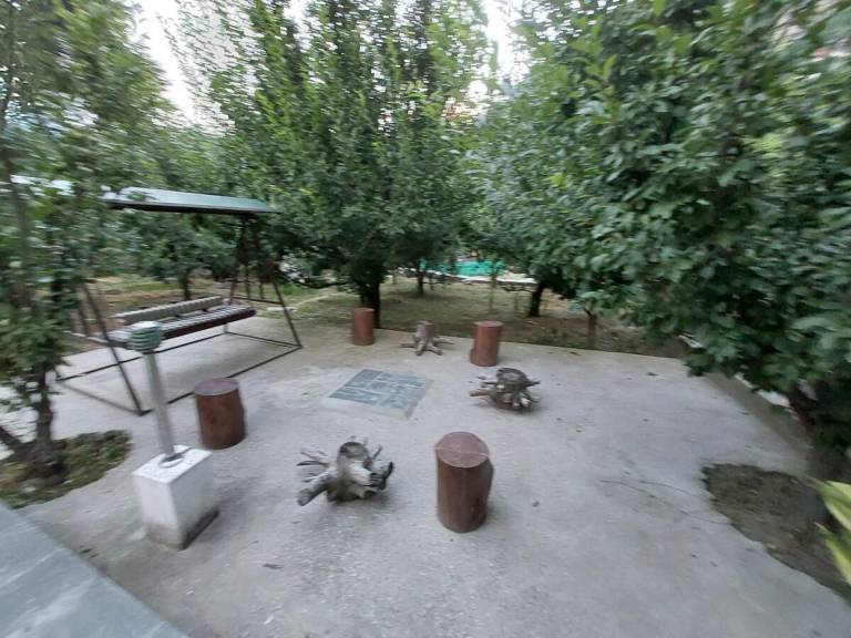 foto32