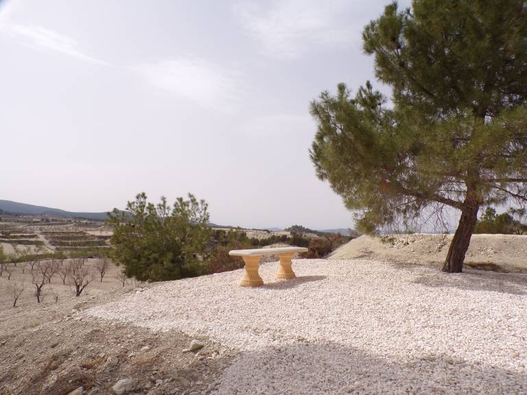 foto17