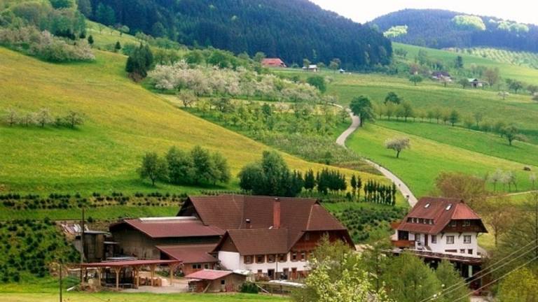 Ferienwohnung Zell am Harmersbach