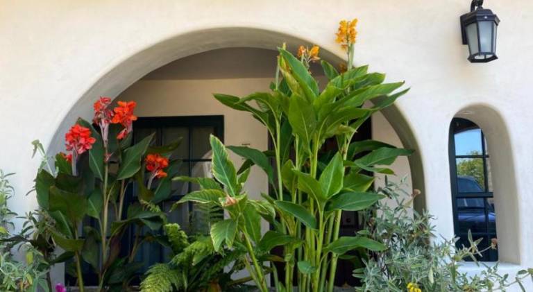 Serviced apartment Santa Barbara