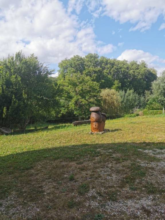 foto36