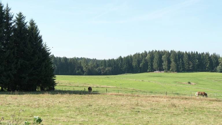 foto21